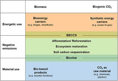 German Energy and Decarbonization Scenarios: “Blind Spots” With Respect to Biomass-Based Carbon Removal Options